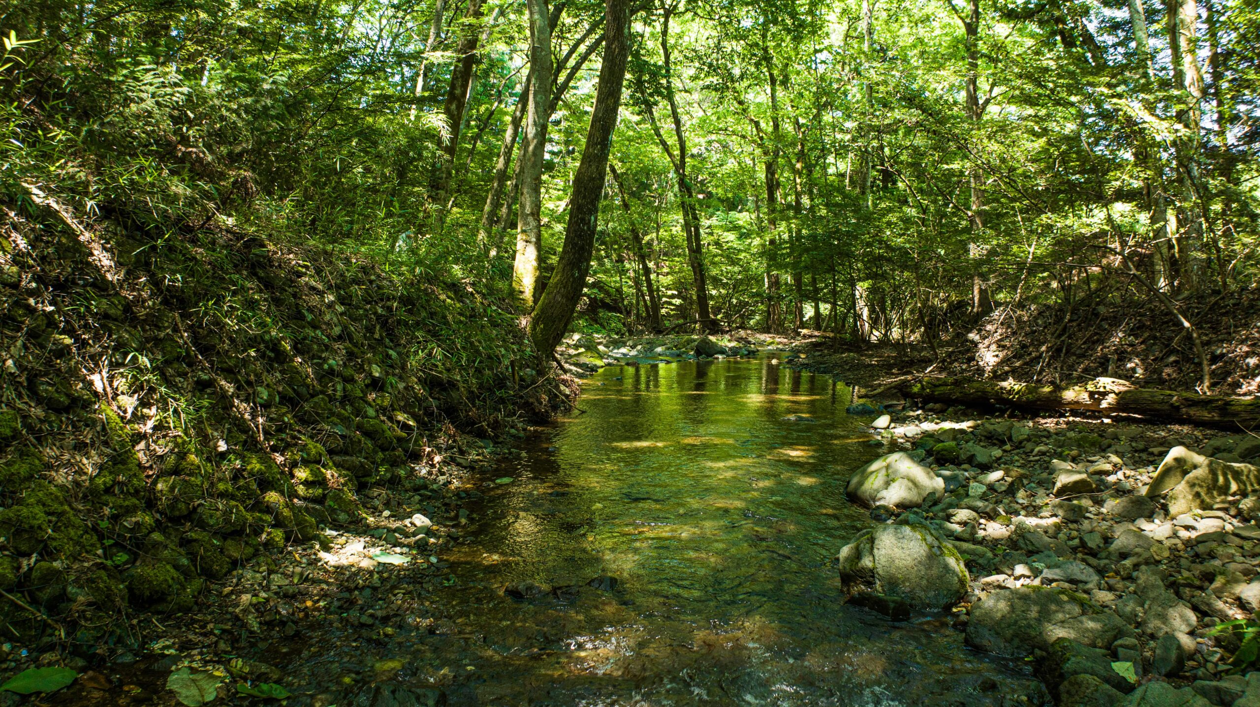 オーサムキャンプ　涼しいキャンプ